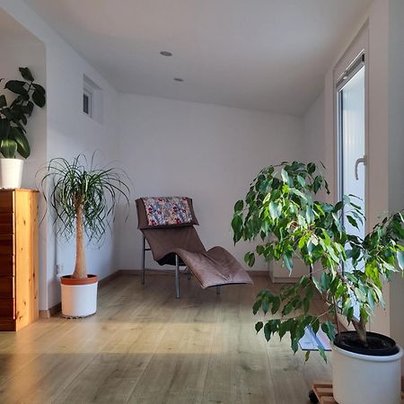 Bungalow In Messenaehe Hanower Zewnętrze zdjęcie